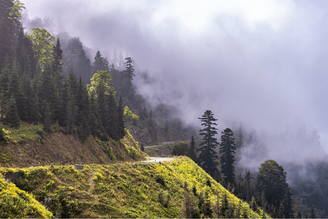 Chasing Fog – A Morning in the&hellip;